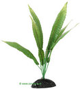 Cryptocoryne - plante aquatique artificielle - - H 30 cm
