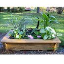Kit bassin moyen avec plantes pour balcon, terrasse & jardin - - L 95 x l 65 x H 25 cm