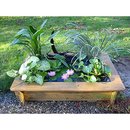 Kit bassin grand avec plantes pour balcon, terrasse & jardin - - L 115 x l 65 x H 25 cm