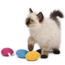 Balles Catnip menthe � chat - - lot de 3