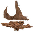 Racine de mangrove pour aquarium - - environ 25 cm