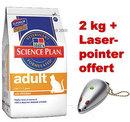 Hill's 2 kg + Laserpointer offert - - Feline Adult lapin