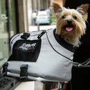 Sac de transport Dog Bag USB - - Bike Connection (pour v�lo)