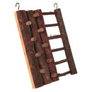 Mur d'escalade pour rongeur - - 20 x 16 cm