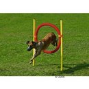 Lot de pneus d'Agility - - lot