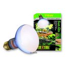 Ampoule n�odyme lumi�re du jour Sun Glo Spot Hagen Exo Terra - - 75 W