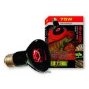 Spot chauffant infrarouge Heat Glo Hagen Exo Terra - - 75 W