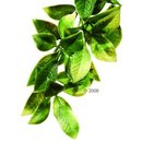 Plante en plastique Mandarin Hagen Exo Terra - - dimensions: longueur 45 / diam�tre 17 cm