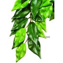 Plante en soie Ficus Hagen Exo Terra - - dimensions: longueur 55 / diam�tre 25 cm