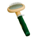 Carde douce - - 16 cm