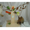 Arbre � grignoter R�bli - - H 31 cm
