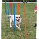Piquets de slalom d'Agility - - L 115 cm x � 3,3 cm