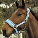 Licol doubl� USG Soft - - Poney, bleu clair
