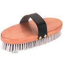 Brosse avec dos en bois - - 1 brosse