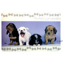 Set de table Hungry Puppies - - dimension: environ 35 cm x 30 cm
