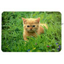 Set de table Chat dans l'herbe - - L 35 x l 30 cm environ