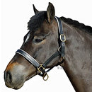 Licol en cuir noir - - cheval de trait