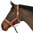Licol en nylon Exclusif - - grand cheval, vert