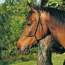 Licol de randonn�e en corde - - noir