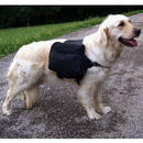 Sac � dos pour chien GLOBETROTTER - - noir / dimension 30 x 24 cm