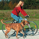 Laisse pour vélo et jogging Trixie - - réglable de 100 à 200 cm