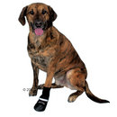 Bottes de protection pour chien Walker Professional - - taille M