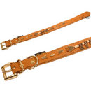 Collier pour chien Buffalo - - L 65 x l 2,5 cm