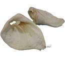 Oreilles de porc soufflées - - 10 friandises