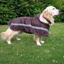 Manteau pour chien Casual - - taille 70: longueur du dos 70 cm