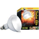 Ampoule lumi�re du soleil Solar Glo Hagen Exo-Terra - - 160 W