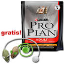 3 kg croquettes chat Pro Plan + 2 souris de jeu offertes! - - kitten delicate (2 x 1,5 kg)