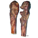 Cimier-cuisse de boeuf Pr�mium - - 5 friandises