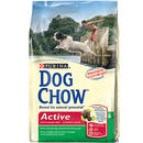 Dog Chow Active - - 15 kg