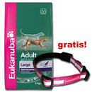 15 kg Eukanuba + collier r�flecteur offert ! - - Breed Boxer (12 kg)