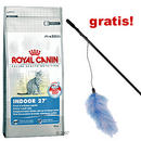 Royal Canin Feline 2 kg + canne � p�che Federboa offerte! - - Indoor 27