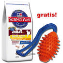 15 kg Hill's Science Plan + Boomer Aqua football en cadeau! - - 15 kg Adult Large Breed poulet