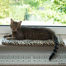 Tapis de fen�tre Adongo - L 60 x l 26 x H 2 cm
