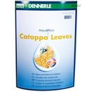Feuilles de badamier Dennerle Catappa Leaves - - 8 Dennerle feuilles de badamier