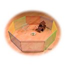 Enclos d'ext�rieur pour petits rongeurs Joy - - 8 �l�ments : L 34 x l 23 cm