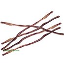 Cimiers de boeuf extra long - - 5 friandises