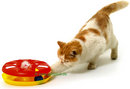 Carrousel pour chat Kitty Round About - - 1 carrousel Kitty Round About