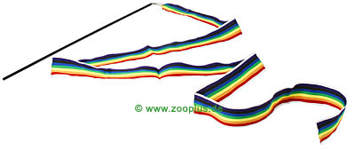 Canne � p�che Arc-en-ciel - 1 canne � p�che