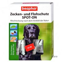 Pipettes antiparasitaires pour chien Spot-on Beaphar - 4 pipettes