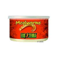 Comparez les prix Aliment pour reptiles hagen exo terra mealworms - 34 g