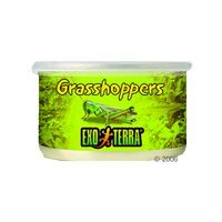 Comparez les prix Aliment pour reptiles hagen exo terra grasshoppers - 34 g