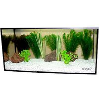 Plantes daquarium Zooplants Poisson rouge 9 plantes