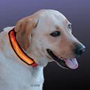 Collier réflecteur Magic Marker à diode lumineuse - - 19 cm