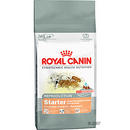 Royal Canin Starter puppy - - 2 kg