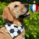 Bandana pour chien sp�cial football - taille S : 40 cm de tour de cou