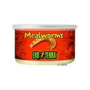 Aliment pour reptiles Hagen Exo Terra Mealworms - - 34 g